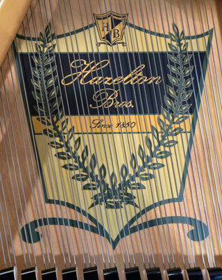 Hazleton Bros. Polished Ebony Baby Grand Piano - St George