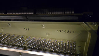 Magnificent Slightly-Used Yamaha U3 High-Performance Upright Piano - St George