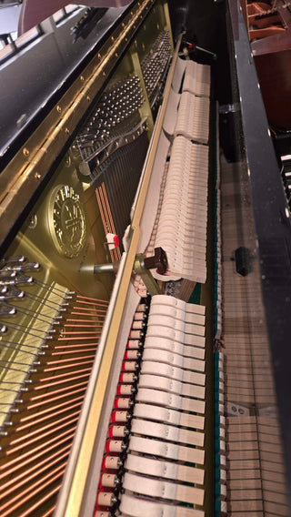 Magnificent Slightly-Used Yamaha U3 High-Performance Upright Piano - St George