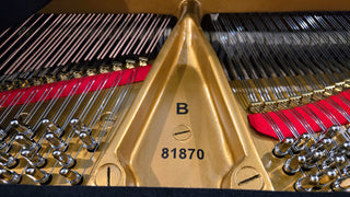 Steinway & Sons Restored Vintage Model B 6’11” Grand Piano - St George