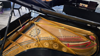 Steinway & Sons Restored Vintage Model B 6’11” Grand Piano - St George