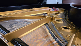 Steinway & Sons Restored Vintage Model B 6’11” Grand Piano - St George