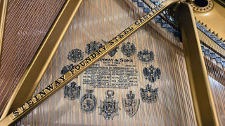Steinway & Sons Restored Vintage Model B 6’11” Grand Piano - St George