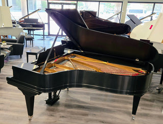 Steinway & Sons Restored Vintage Model B 6’11” Grand Piano - St George