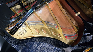 Boston by Steinway 5'4" Polished Ebony Grand Piano - St George