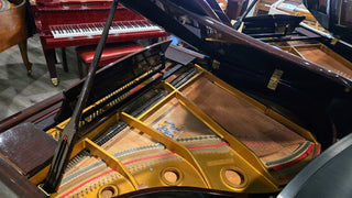 Cline 4'11" Baby Grand Piano in Polished Mahogany - St George