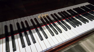 Cline 4'11" Baby Grand Piano in Polished Mahogany - St George