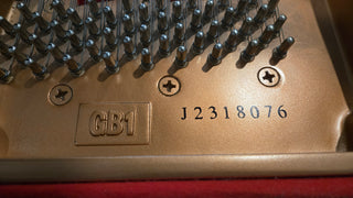 Yamaha GB1 5'0" Polished Ebony Baby Grand Piano - St George