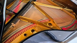 Pearl River 4'7" Polished Ebony Baby Grand Piano - St George