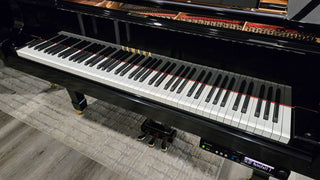 Yamaha C7 Conservatory Disklavier Grand Piano in Polished Ebony - St George