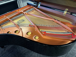 Rare Find! Yamaha C3X Conservatory 6'1" Grand Piano