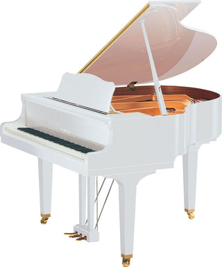 Yamaha DGB1K ENST 5' Disklavier Grand Piano