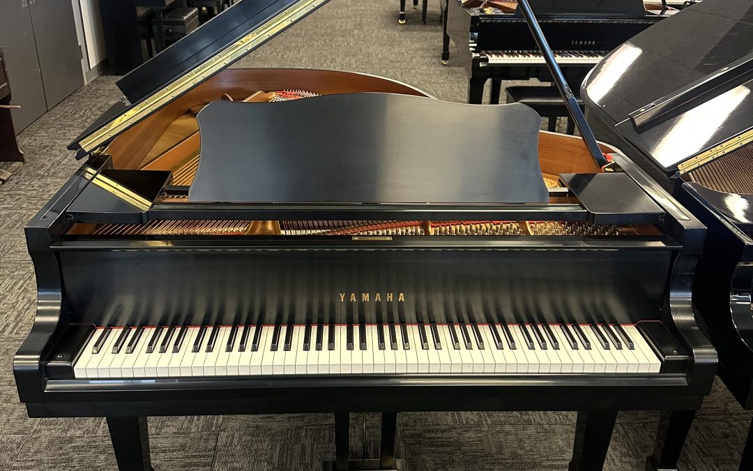 Stunning Preowned Yamaha Conservatory 5’8″ Grand Piano – Murray