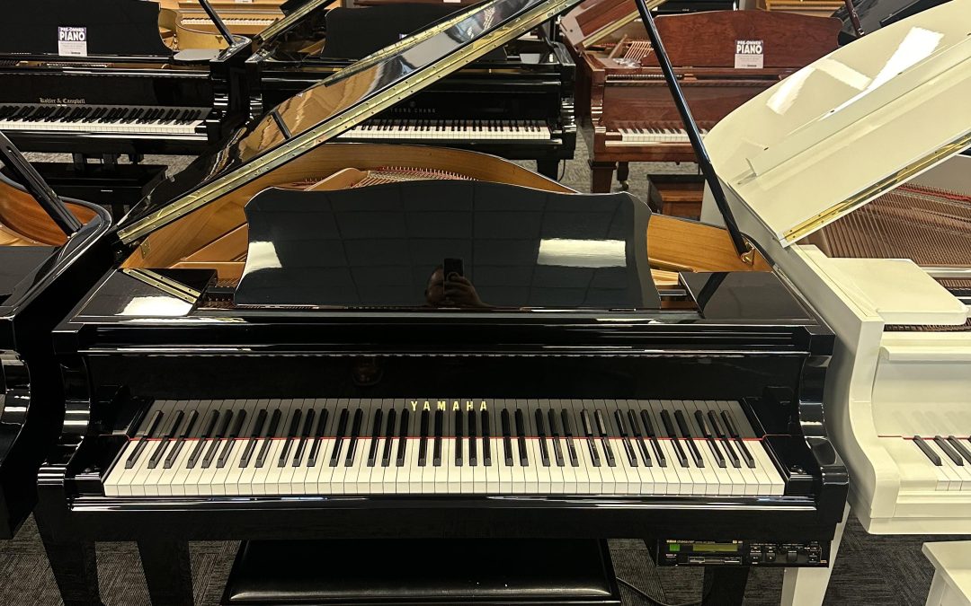 Looks Just Like New – Preowned Yamaha 5’3″ Grand Piano – Murray