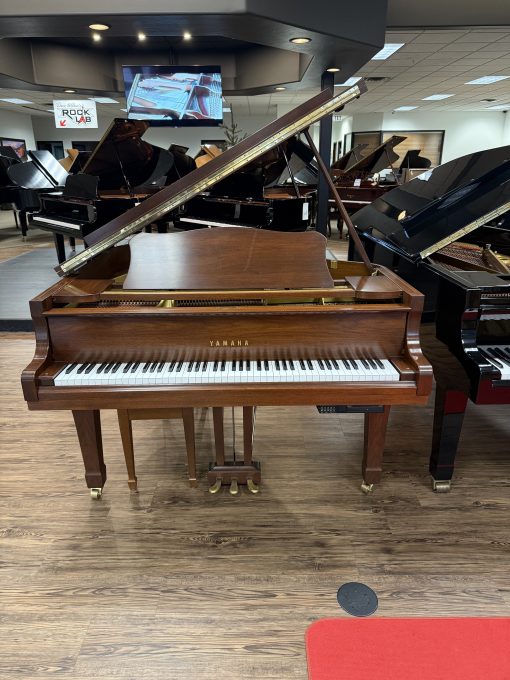 Beautiful Yamaha Baby Grand Piano with Disc Player Satin American Walnut - Orem