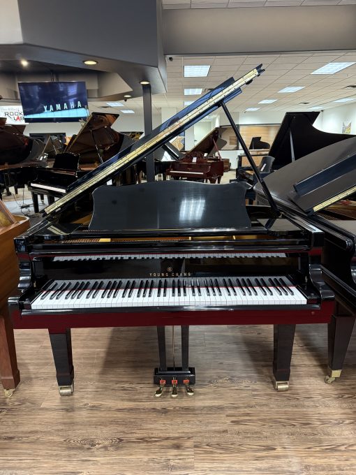 Beautiful Young Chang Grand Piano 7' Polished Ebony - Orem