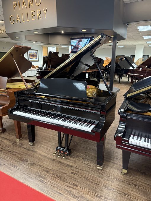 Beautiful Young Chang Grand Piano 7' Polished Ebony - Orem - Image 2